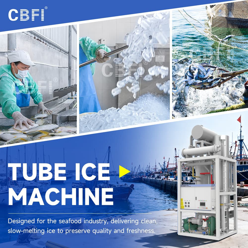 2-6compressed 2-6compressed